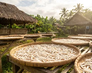 Drying trays of coconut strips in the sun