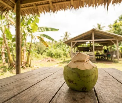 Fresh young buko coconut